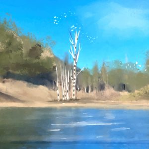 20177131_6233521